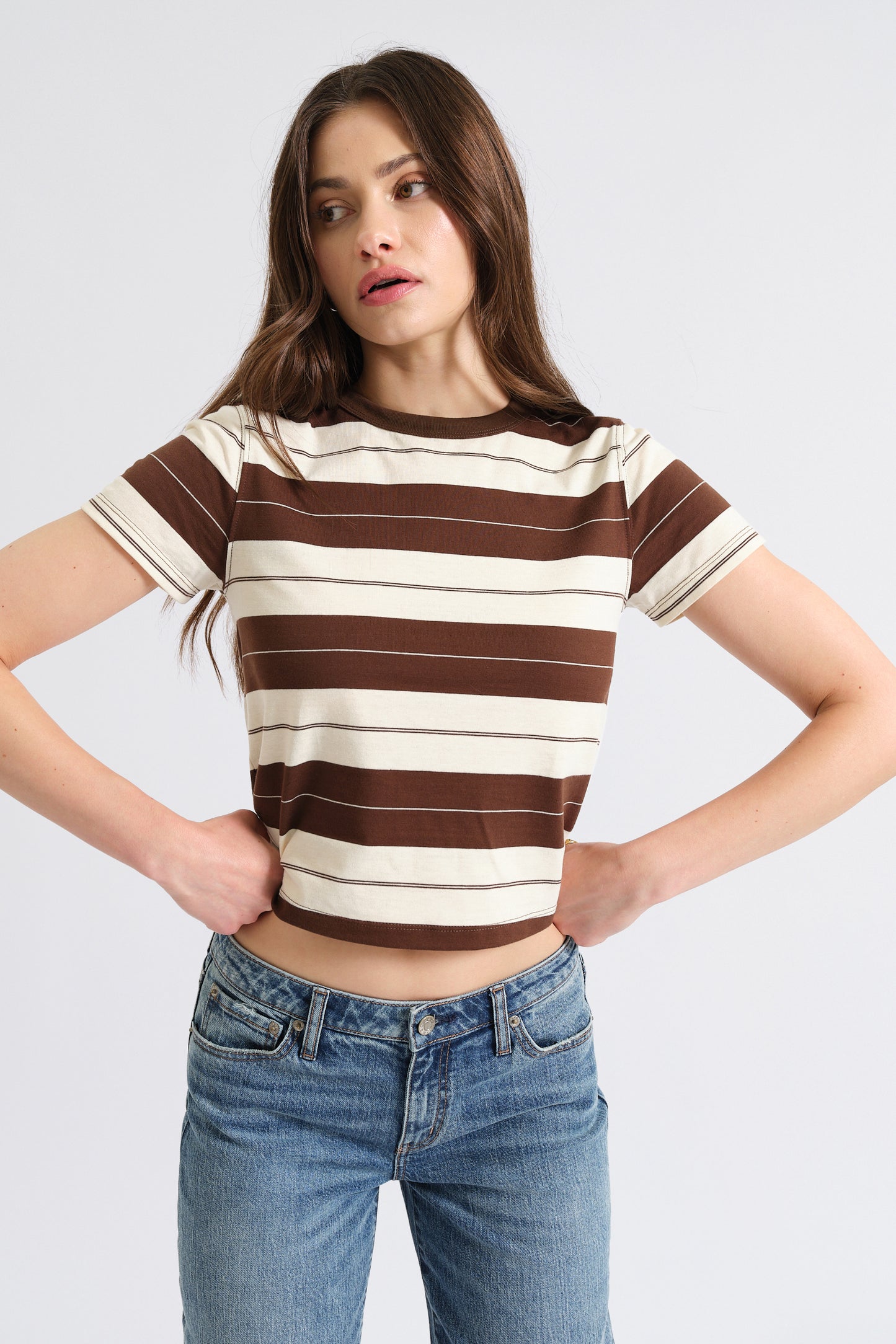 Zuma Crew Neck Tee in Chocolate Stripe