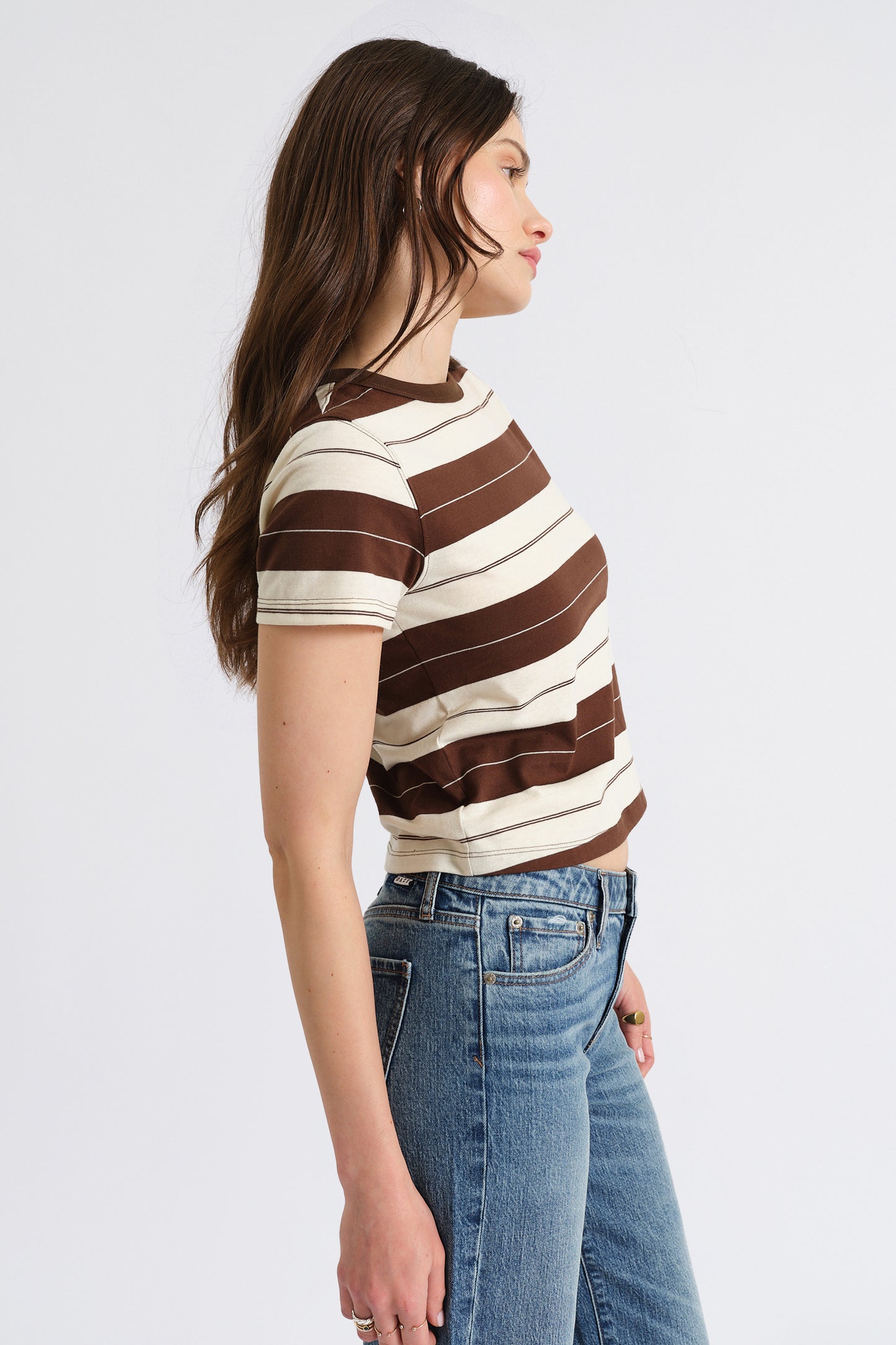 Zuma Crew Neck Tee in Chocolate Stripe